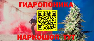 сатива Конаково