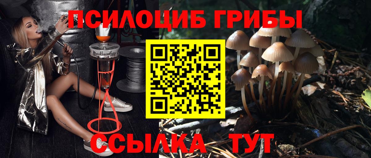 Шахты  Галлюциногенные грибы Psilocybe  Вход с VPN 