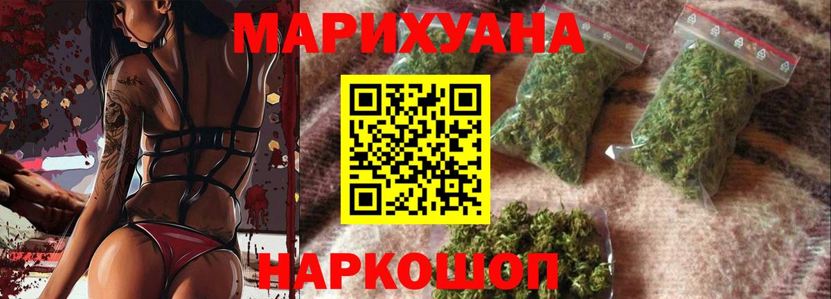 Конопля гибрид Шахты